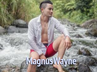 MagnusWayne