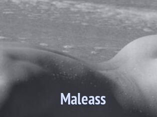 Maleass Tube video gay