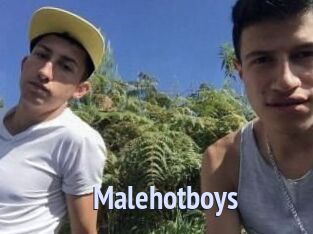 Malehotboys