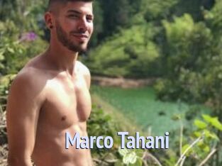 Marco_Tahani
