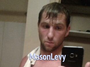 Mason_Levy