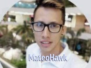 MateoHawk