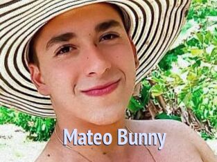 Mateo_Bunny
