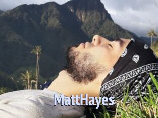MattHayes