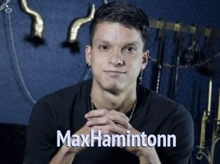 MaxHamintonn