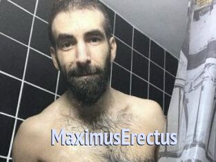 MaximusErectus