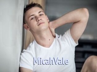 MicahVale Tube video gay