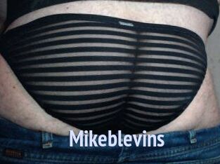 Mikeblevins
