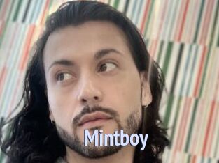 Mintboy