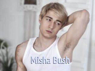 Misha_Bush