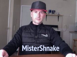 MisterShnake