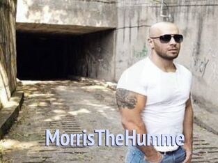 MorrisTheHumme