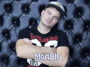 MortBIG