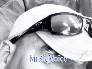 MrBigVoice