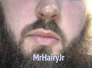 MrHairyJr