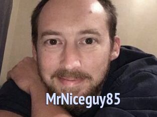 MrNiceguy85