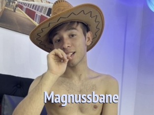 magnussbane Tube video gay