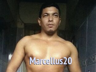 Marcellus20