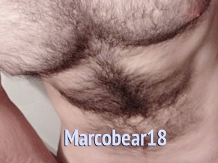 Marcobear18
