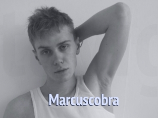 Marcuscobra
