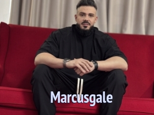 Marcusgale