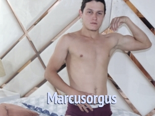 Marcusorgus