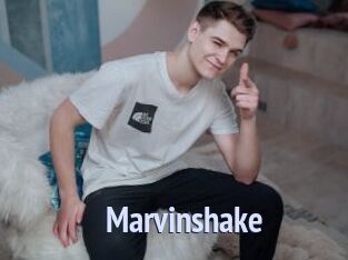 Marvinshake