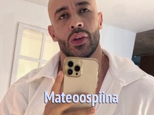Mateoospiina