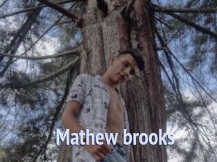Mathew_brooks