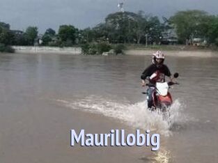 Maurillobig