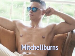 Mitchellburns