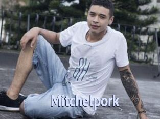 mitchelpork Tube video gay