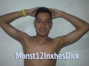 Monst12InxhesDick