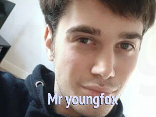 Mr_youngfox