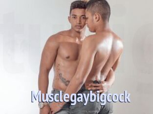 Musclegaybigcock