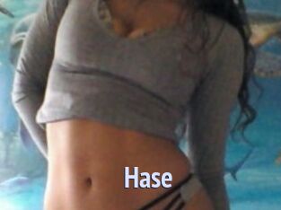 Hase