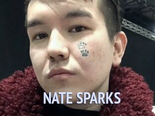 NATE_SPARKS