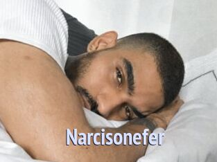 Narcisonefer