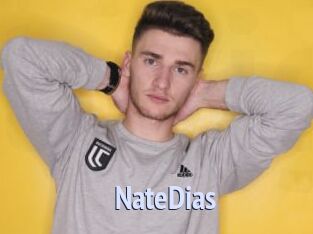 NateDias Tube video gay