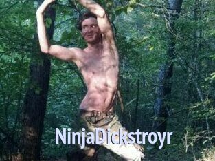 NinjaDickstroyr