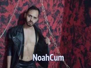 NoahCum