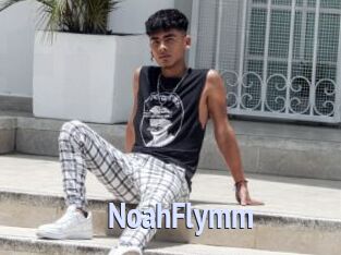 NoahFlymm
