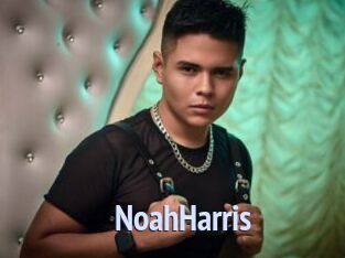 NoahHarris