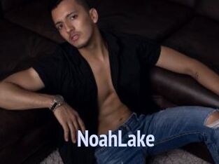 NoahLake