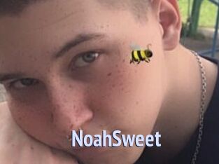 NoahSweet