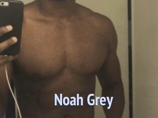 Noah_Grey