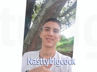 Nasttybigcock