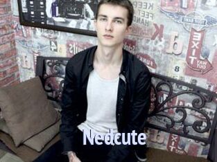 Nedcute
