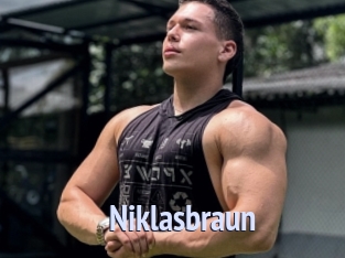 Niklasbraun
