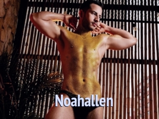 Noahallen